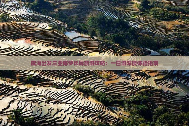 威海出发三亚椰梦长廊旅游攻略：一日游深度体验指南