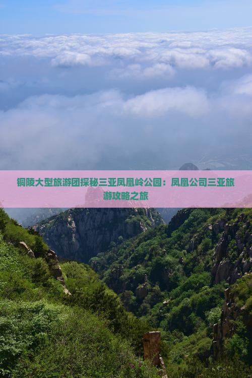铜陵大型旅游团探秘三亚凤凰岭公园：凤凰公司三亚旅游攻略之旅