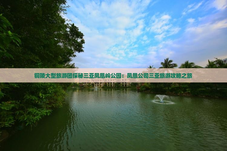 铜陵大型旅游团探秘三亚凤凰岭公园：凤凰公司三亚旅游攻略之旅