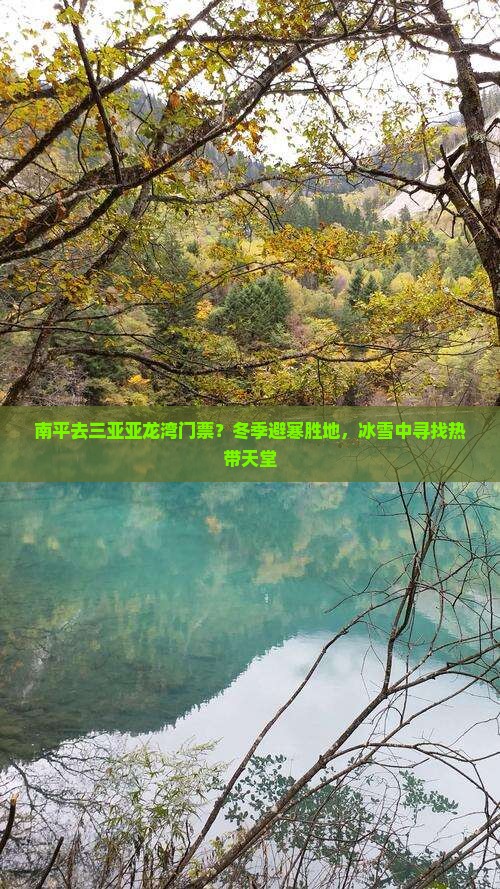 南平去三亚亚龙湾门票？冬季避寒胜地，冰雪中寻找热带天堂
