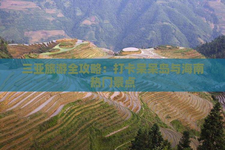 三亚旅游全攻略：打卡呆呆岛与海南热门景点