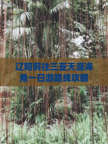 辽阳前往三亚天涯海角一日游路线攻略