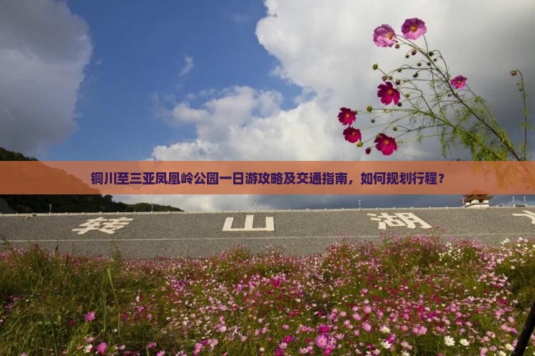 铜川至三亚凤凰岭公园一日游攻略及交通指南，如何规划行程？