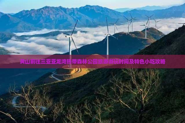黄山前往三亚亚龙湾热带森林公园旅游游玩时间及特色小吃攻略
