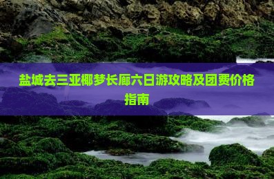 盐城去三亚椰梦长廊六日游攻略及团费价格指南
