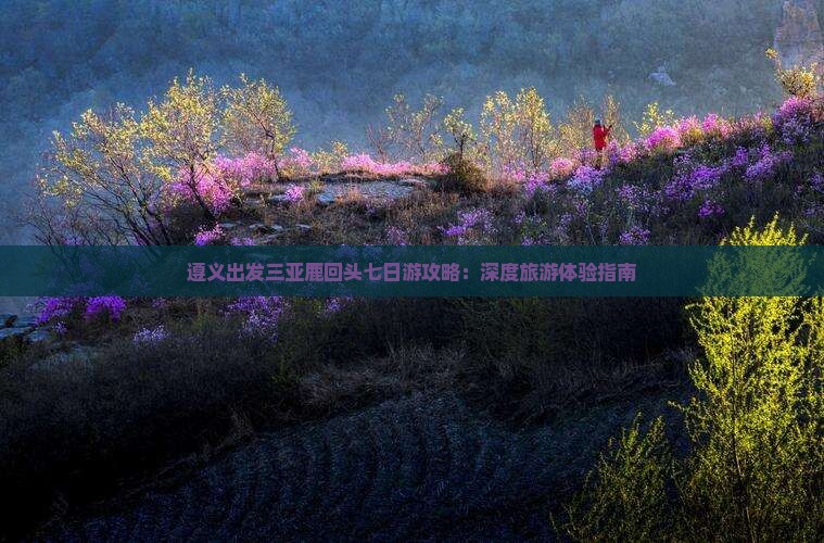 遵义出发三亚鹿回头七日游攻略：深度旅游体验指南