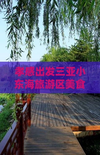 孝感出发三亚小东海旅游区美食探险之旅