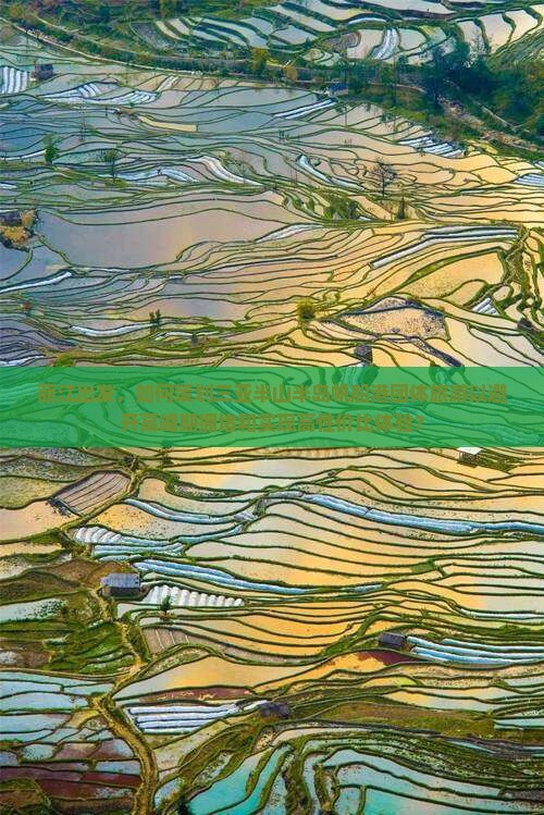 丽江出发，如何策划三亚半山半岛帆船港团体旅游以避开高峰期拥堵和实现高性价比体验？