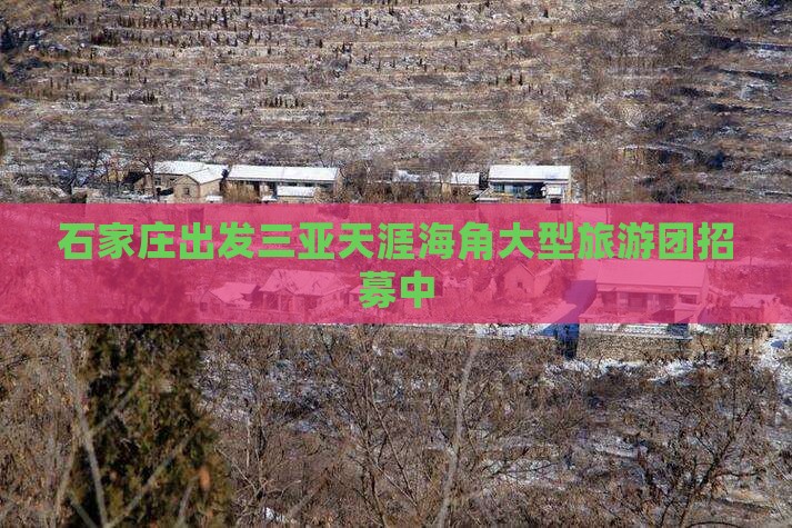石家庄出发三亚天涯海角大型旅游团招募中 石家庄出发三亚天涯海角大型旅游团招募中