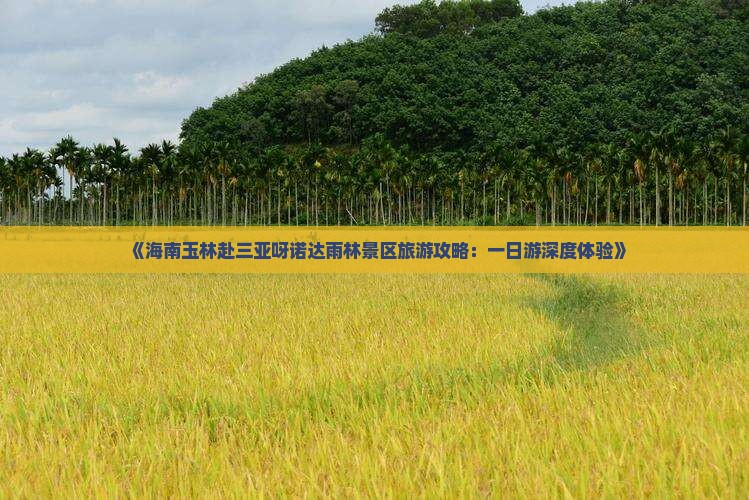 《海南玉林赴三亚呀诺达雨林景区旅游攻略：一日游深度体验》