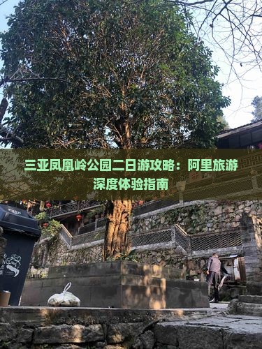 三亚凤凰岭公园二日游攻略：阿里旅游深度体验指南
