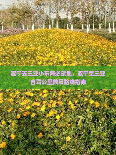 遂宁去三亚小东海必玩地，遂宁至三亚自驾公里数及路线指南