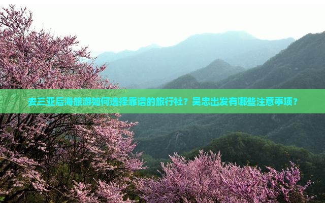 去三亚后海旅游如何选择靠谱的旅行社？吴忠出发有哪些注意事项？