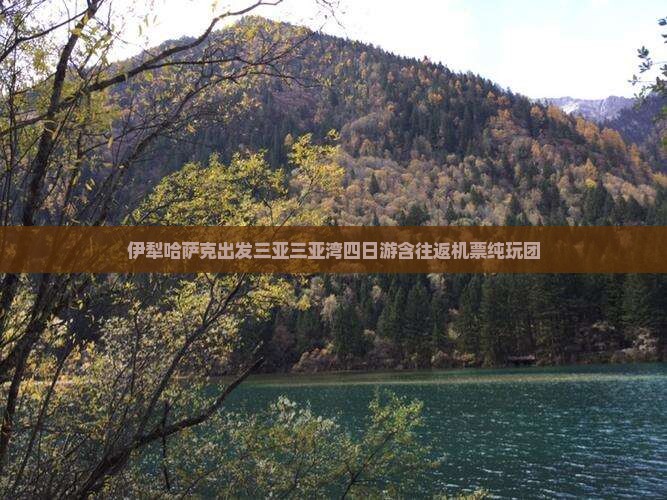 伊犁哈萨克出发三亚三亚湾四日游含往返机票纯玩团