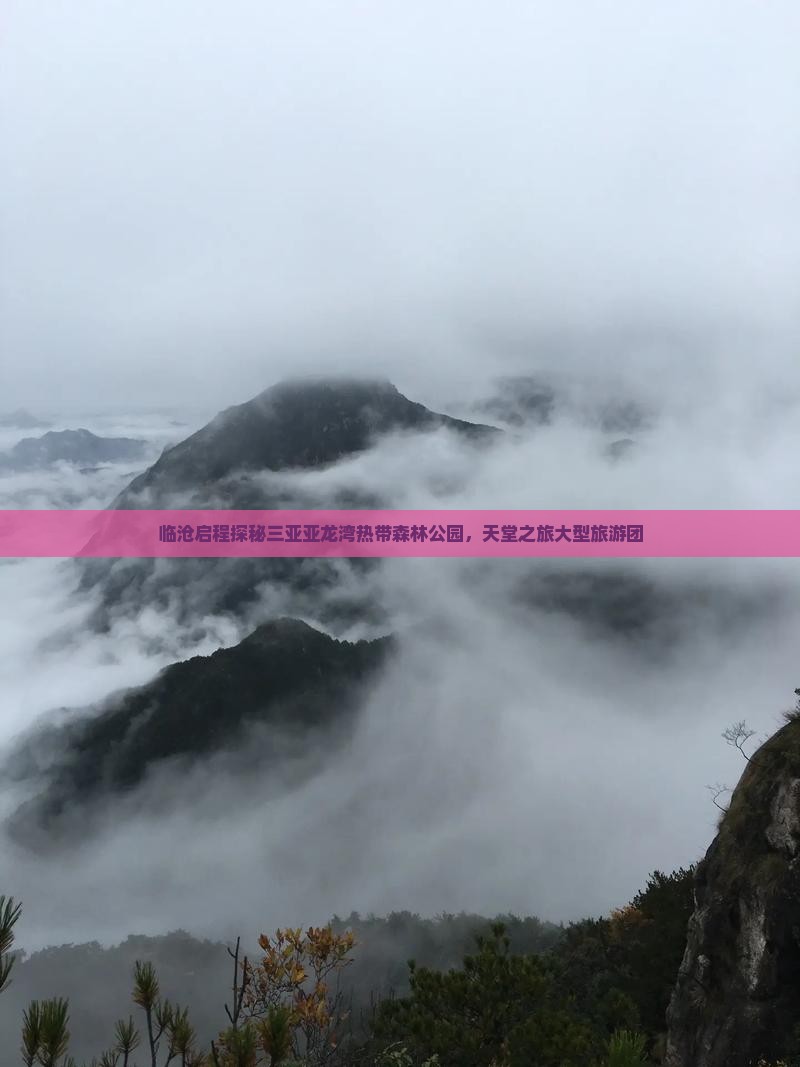 临沧启程探秘三亚亚龙湾热带森林公园，天堂之旅大型旅游团