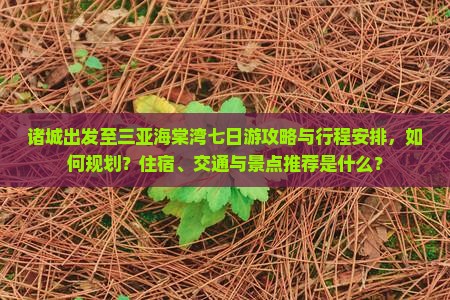 诸城出发至三亚海棠湾七日游攻略与行程安排，如何规划？住宿、交通与景点推荐是什么？