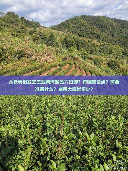 从长春出发去三亚南湾猴岛六日游？有哪些景点？需要准备什么？费用大概是多少？