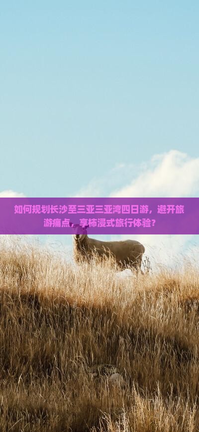 如何规划长沙至三亚三亚湾四日游，避开旅游痛点，享柿浸式旅行体验？
