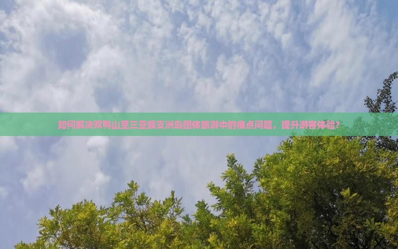 如何解决双鸭山至三亚蜈支洲岛团体旅游中的痛点问题，提升游客体验？