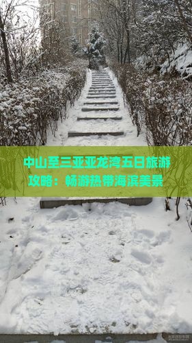 中山至三亚亚龙湾五日旅游攻略：畅游热带海滨美景