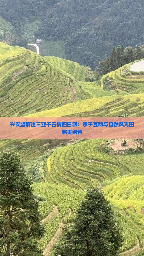 兴安盟前往三亚千古情四日游：亲子互动与自然风光的完美结合