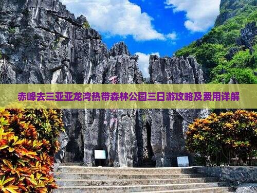 赤峰去三亚亚龙湾热带森林公园三日游攻略及费用详解