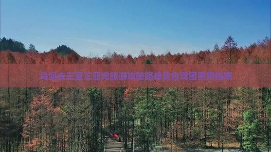 乌海去三亚三亚湾旅游攻略路线及自驾团费用指南