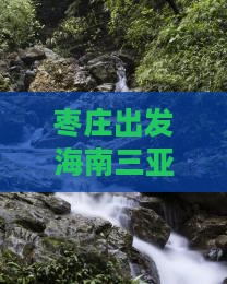 枣庄出发海南三亚凤凰岛度假旅游六日游