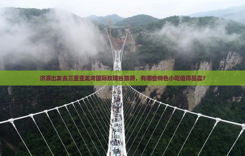 济源出发去三亚亚龙湾国际玫瑰谷旅游，有哪些特色小吃值得品尝？