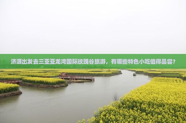 济源出发去三亚亚龙湾国际玫瑰谷旅游，有哪些特色小吃值得品尝？