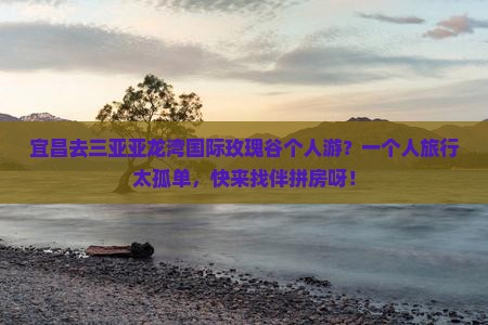 宜昌去三亚亚龙湾国际玫瑰谷个人游？一个人旅行太孤单，快来找伴拼房呀！