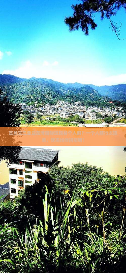 宜昌去三亚亚龙湾国际玫瑰谷个人游？一个人旅行太孤单，快来找伴拼房呀！