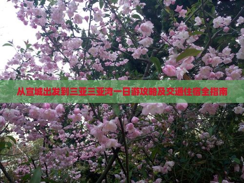 从宣城出发到三亚三亚湾一日游攻略及交通住宿全指南