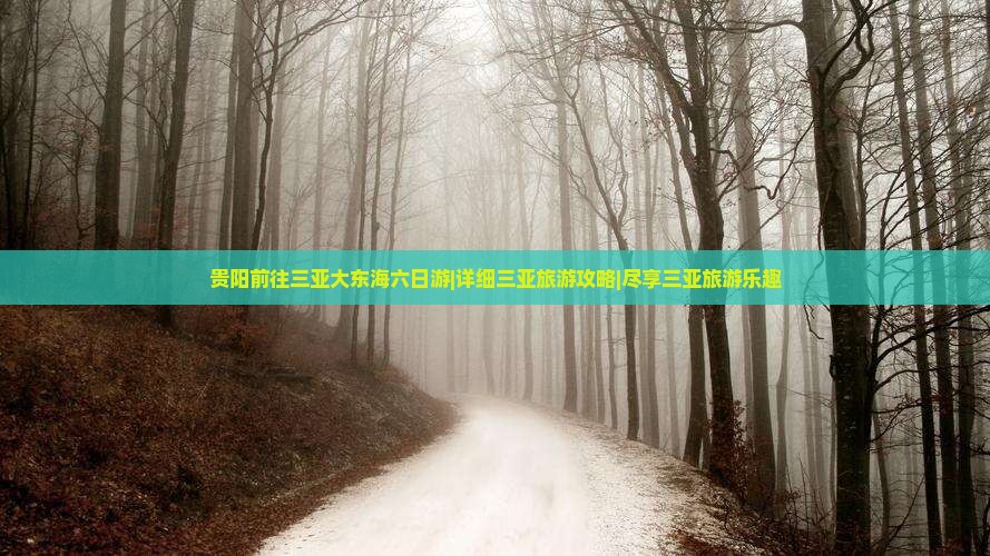 贵阳前往三亚大东海六日游|详细三亚旅游攻略|尽享三亚旅游乐趣