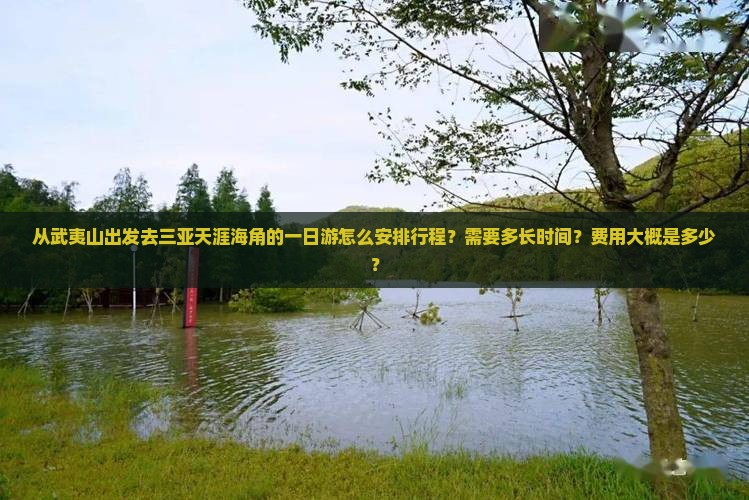 从武夷山出发去三亚天涯海角的一日游怎么安排行程？需要多长时间？费用大概是多少？