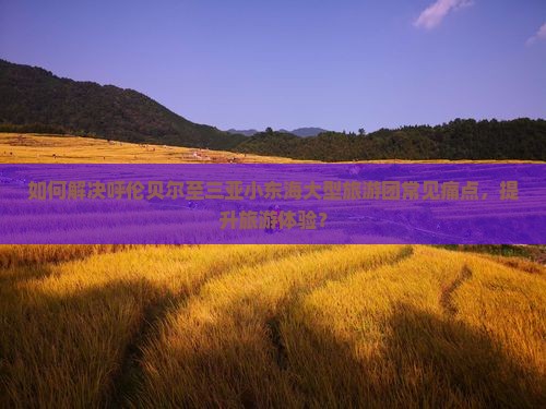 如何解决呼伦贝尔至三亚小东海大型旅游团常见痛点，提升旅游体验？
