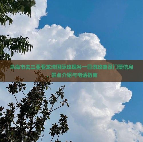 乌海市去三亚亚龙湾国际玫瑰谷一日游攻略及门票信息、景点介绍与电话指南