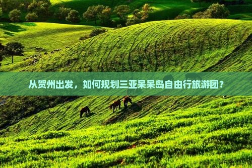 从贺州出发，如何规划三亚呆呆岛自由行旅游团？
