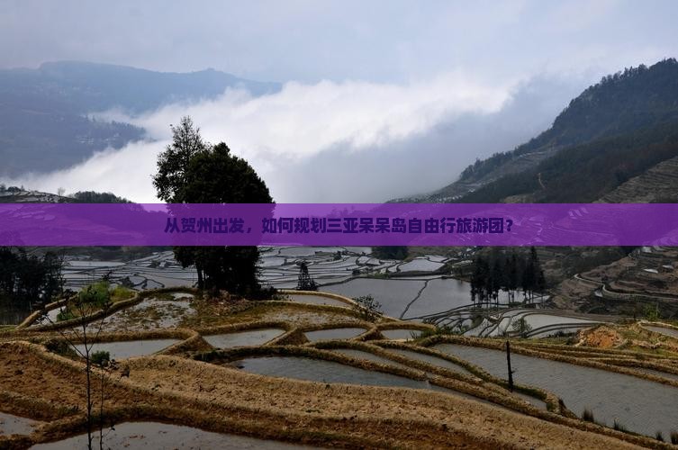 从贺州出发，如何规划三亚呆呆岛自由行旅游团？