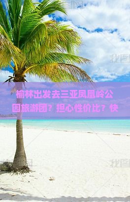 榆林出发去三亚凤凰岭公园旅游团？担心性价比？快来了解露营新潮流