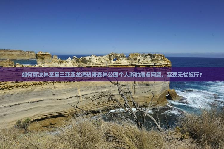 如何解决林芝至三亚亚龙湾热带森林公园个人游的痛点问题，实现无忧旅行？