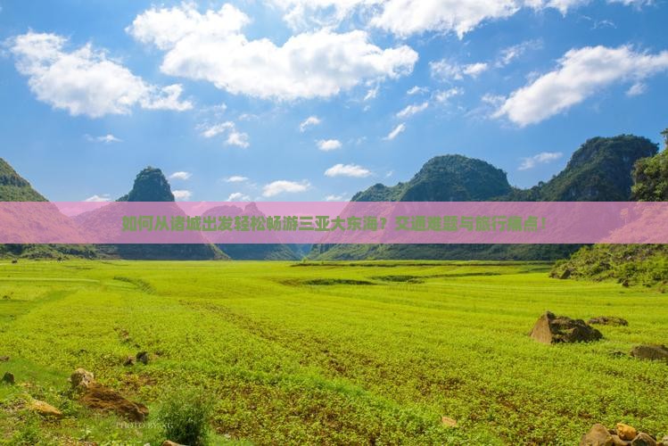 如何从诸城出发轻松畅游三亚大东海？交通难题与旅行痛点！