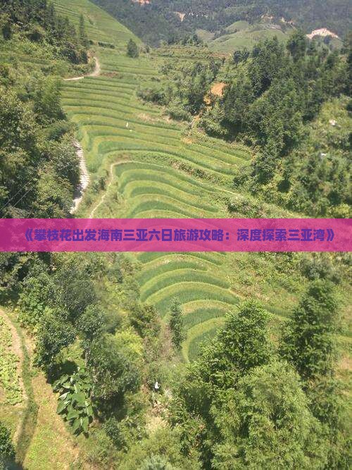 《攀枝花出发海南三亚六日旅游攻略：深度探索三亚湾》