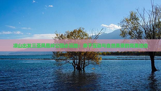 凉山出发三亚凤凰岭公园必玩地：亲子互动与自然美景的完美结合