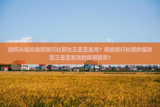 如何从临汾选择旅行社前往三亚亚龙湾？哪些旅行社提供临汾至三亚亚龙湾的旅游服务？