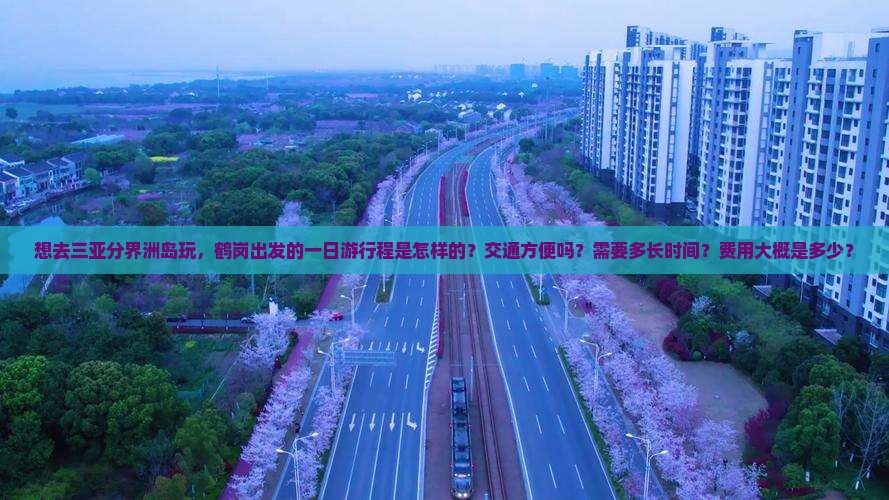 想去三亚分界洲岛玩，鹤岗出发的一日游行程是怎样的？交通方便吗？需要多长时间？费用大概是多少？