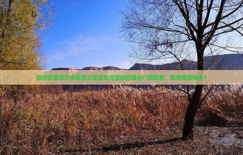如何获取鄂尔多斯至三亚亚龙湾国际玫瑰谷门票优惠，解决旅游痛点？