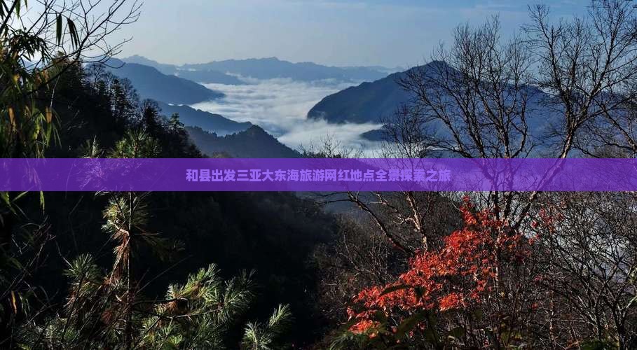 和县出发三亚大东海旅游网红地点全景探索之旅