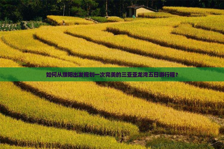 如何从濮阳出发规划一次完美的三亚亚龙湾五日游行程？