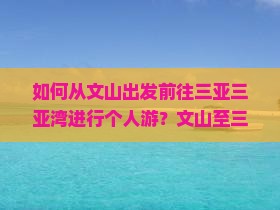 如何从文山出发前往三亚三亚湾进行个人游？文山至三亚湾个人游攻略及交通方式解析